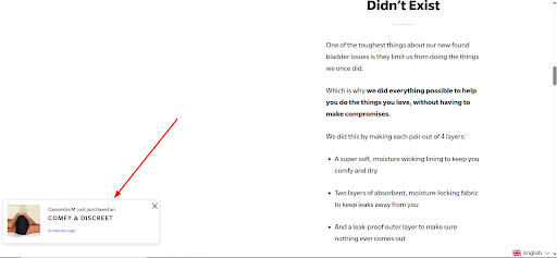 A Sales Pop up Conversion Pro notification on the Everdries storefront announcing a recent purchase